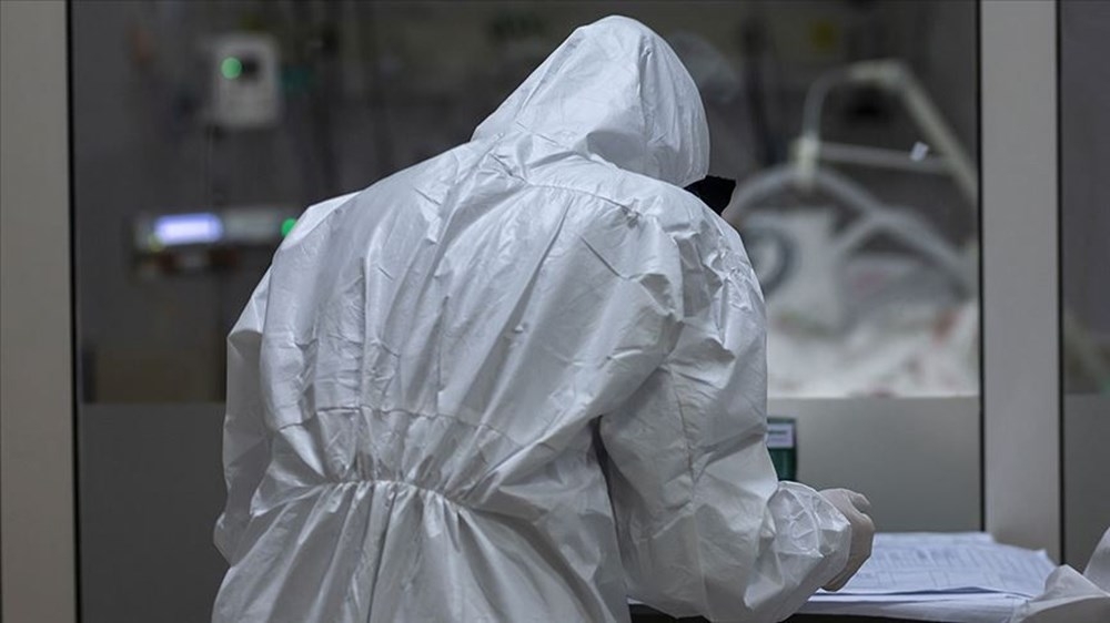 Corona virüs yarasaları neden öldürmüyor? İşte bilimin yanıtı galerisi resim 3