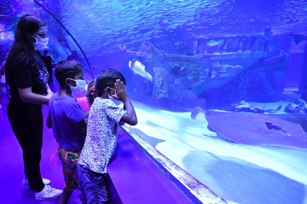 Çöp konteyneri üzerinden havuzdaki yaşıtlarını izleyen kağıt toplayıcı ç galerisi resim 1