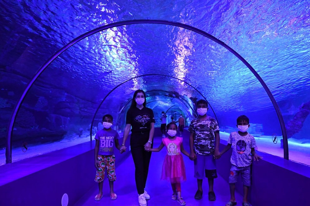 Çöp konteyneri üzerinden havuzdaki yaşıtlarını izleyen kağıt toplayıcı ç galerisi resim 5