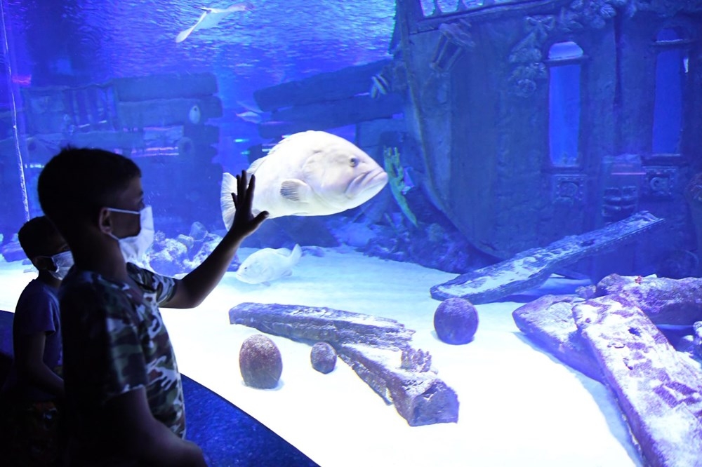 Çöp konteyneri üzerinden havuzdaki yaşıtlarını izleyen kağıt toplayıcı ç galerisi resim 6