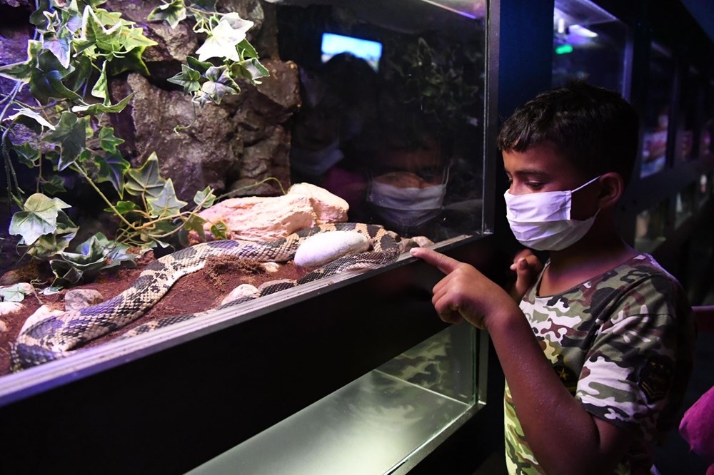 Çöp konteyneri üzerinden havuzdaki yaşıtlarını izleyen kağıt toplayıcı ç galerisi resim 9