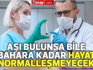 Aşı bulunsa bile bahara kadar hayat normalleşmeyecek