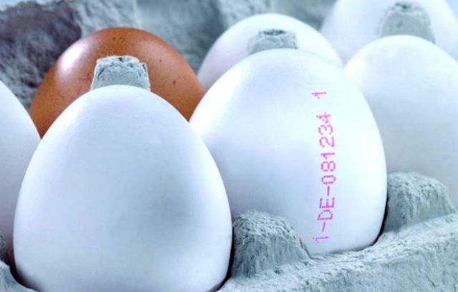 Yumurta alırken bu koda dikkat! 3 numara yazıyorsa bir kez daha düşünün galerisi resim 9