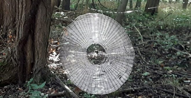 Ormanın derinliklerinde bulunan devasa örümcek ağı tüyler ürpertti: İnsa galerisi resim 1