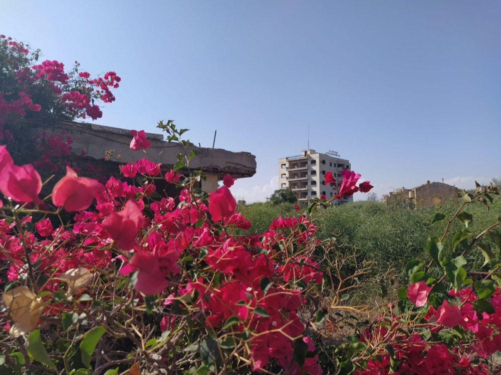 İşte:Maraş'tan görüntüler galerisi resim 7