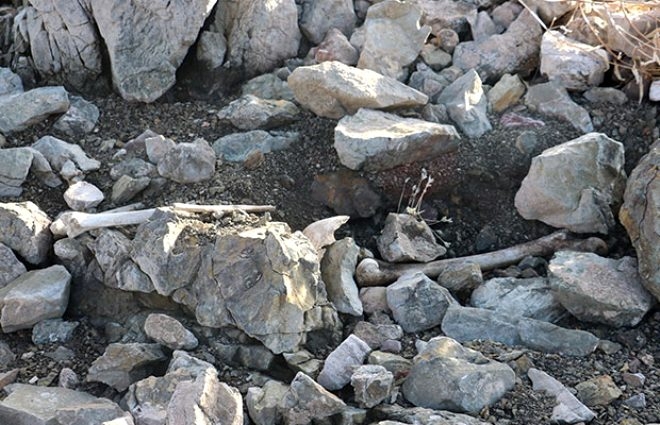 Sular çekilince gün yüzüne çıktı! Köylüler gördükleri manzara karşısında galerisi resim 6