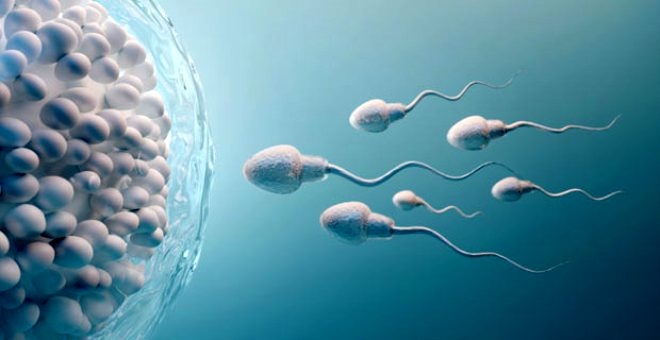 Son araştırma erkekleri derinden üzecek! Koronavirüsün testislerde uzun  galerisi resim 1