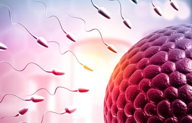 Son araştırma erkekleri derinden üzecek! Koronavirüsün testislerde uzun  galerisi resim 3