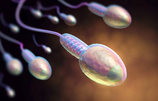 Son araştırma erkekleri derinden üzecek! Koronavirüsün testislerde uzun  galerisi resim 5