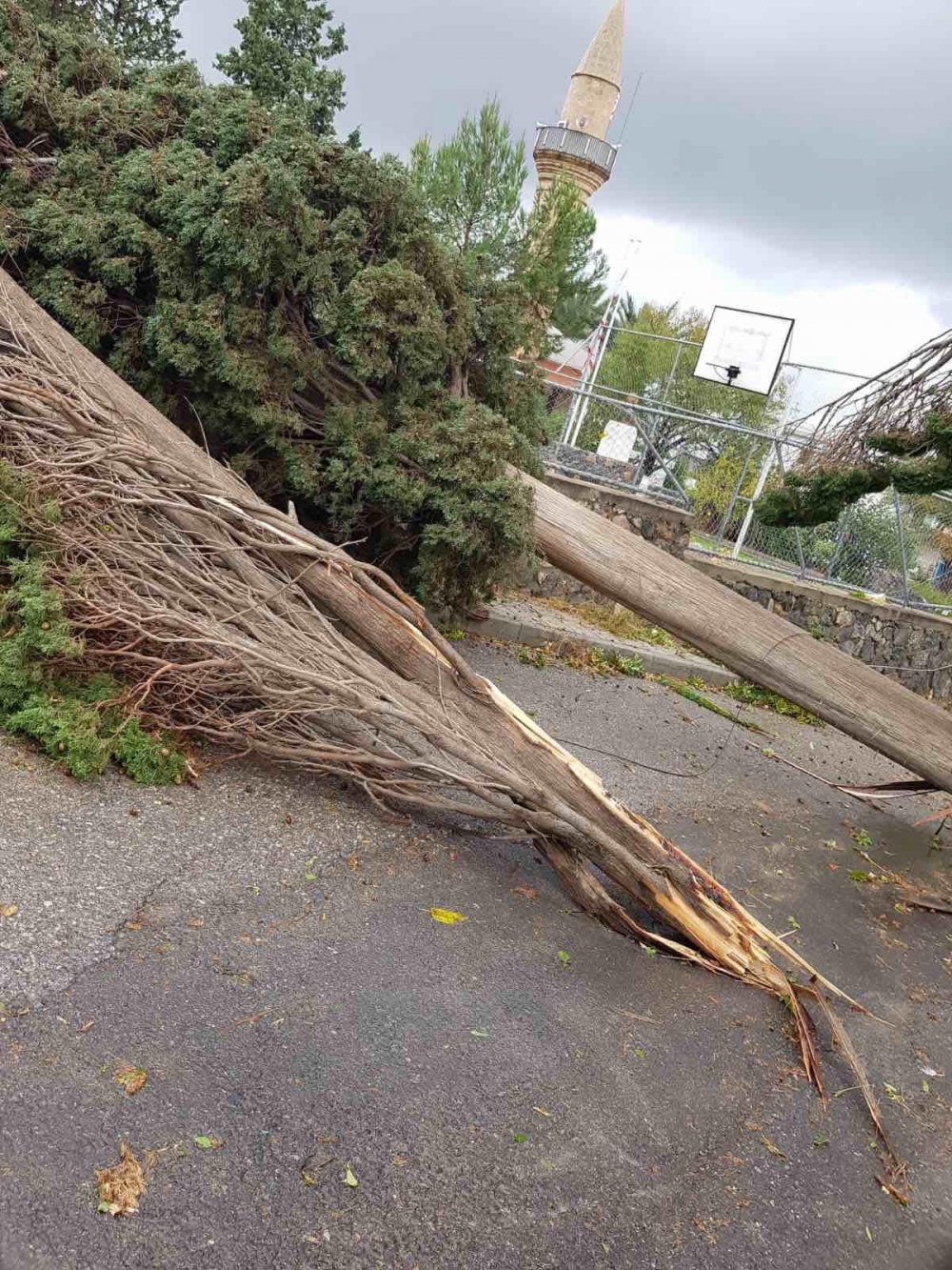 Fotoğraflarla Girne bölgesinde yaşanan felaket... galerisi resim 10