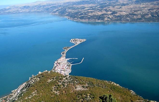 Bir anda köpürmeye başladı! Can çekişiyor! galerisi resim 2