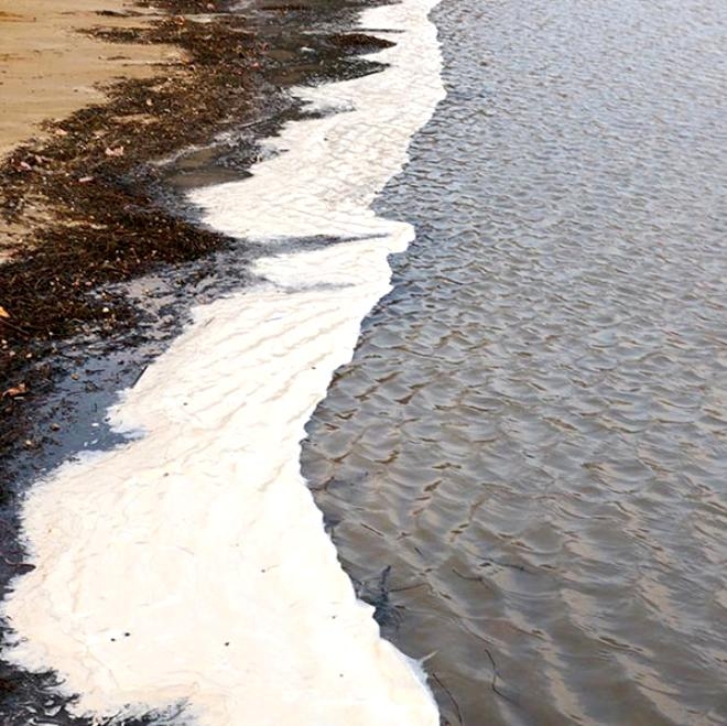 Bir anda köpürmeye başladı! Can çekişiyor! galerisi resim 3