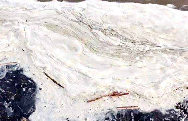 Bir anda köpürmeye başladı! Can çekişiyor! galerisi resim 6