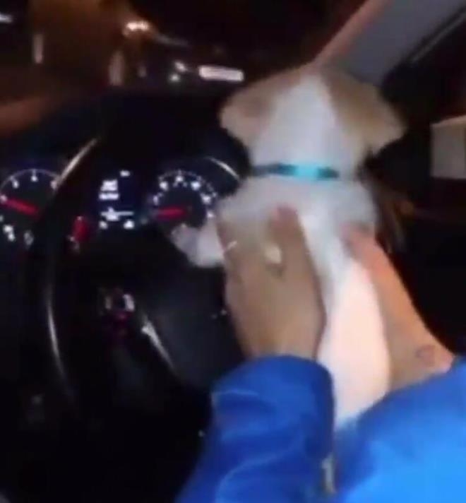 Skandal görüntülerden sonra güzel futbolcu takımından kovuldu galerisi resim 3