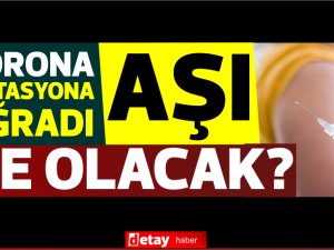Mutasyondan sonra...Aşılar ne olacak?