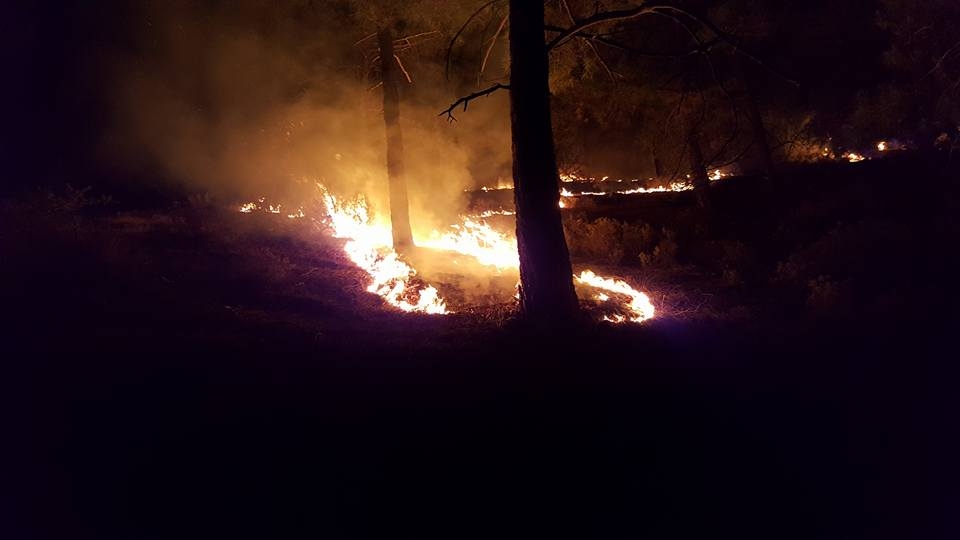 Yangın 2 can aldı. İşte Trodos'taki büyük yangından fotoğraflar galerisi resim 1