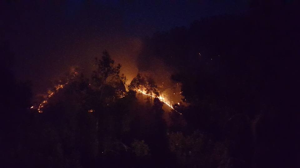Yangın 2 can aldı. İşte Trodos'taki büyük yangından fotoğraflar galerisi resim 10