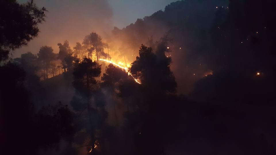 Yangın 2 can aldı. İşte Trodos'taki büyük yangından fotoğraflar galerisi resim 11