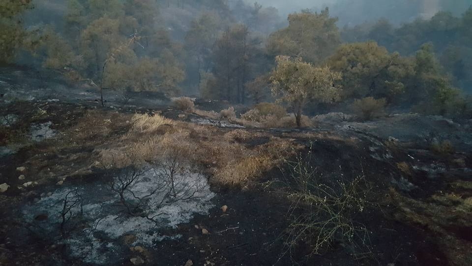 Yangın 2 can aldı. İşte Trodos'taki büyük yangından fotoğraflar galerisi resim 13