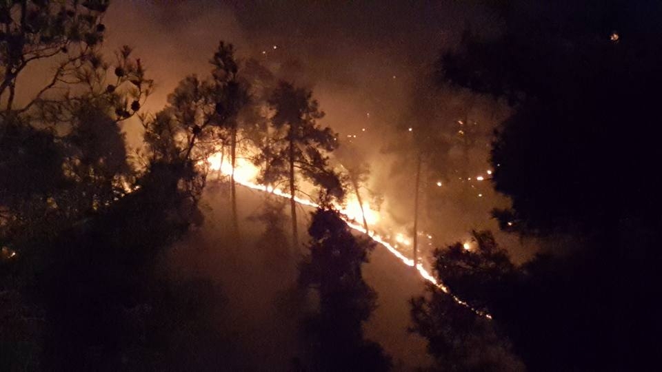 Yangın 2 can aldı. İşte Trodos'taki büyük yangından fotoğraflar galerisi resim 14