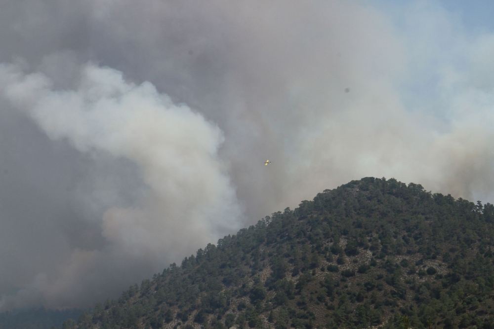 Yangın 2 can aldı. İşte Trodos'taki büyük yangından fotoğraflar galerisi resim 16