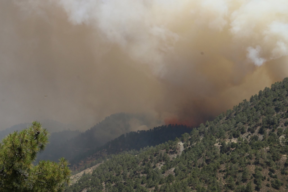 Yangın 2 can aldı. İşte Trodos'taki büyük yangından fotoğraflar galerisi resim 22