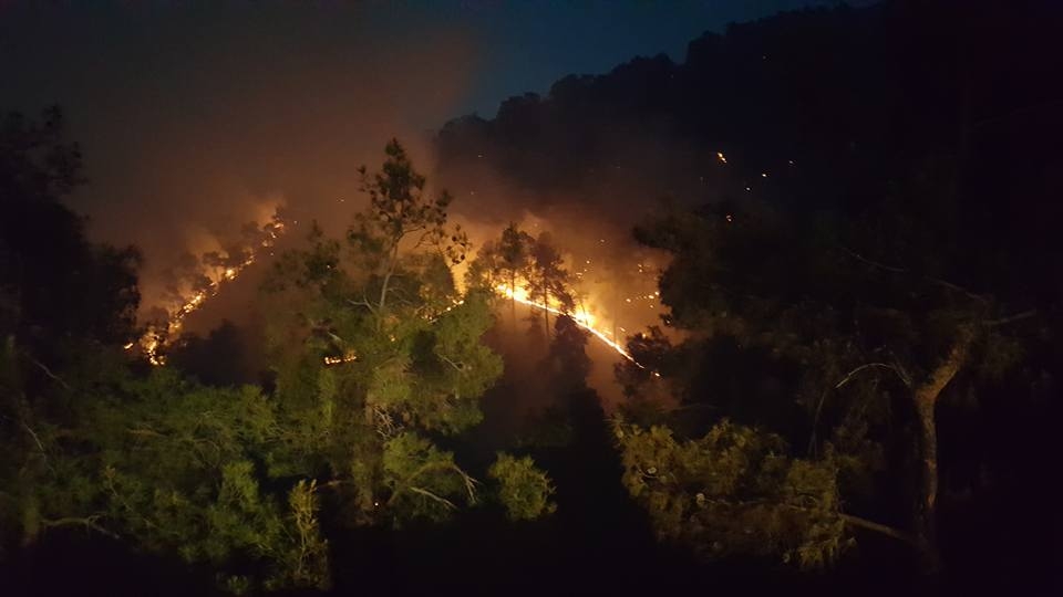 Yangın 2 can aldı. İşte Trodos'taki büyük yangından fotoğraflar galerisi resim 3