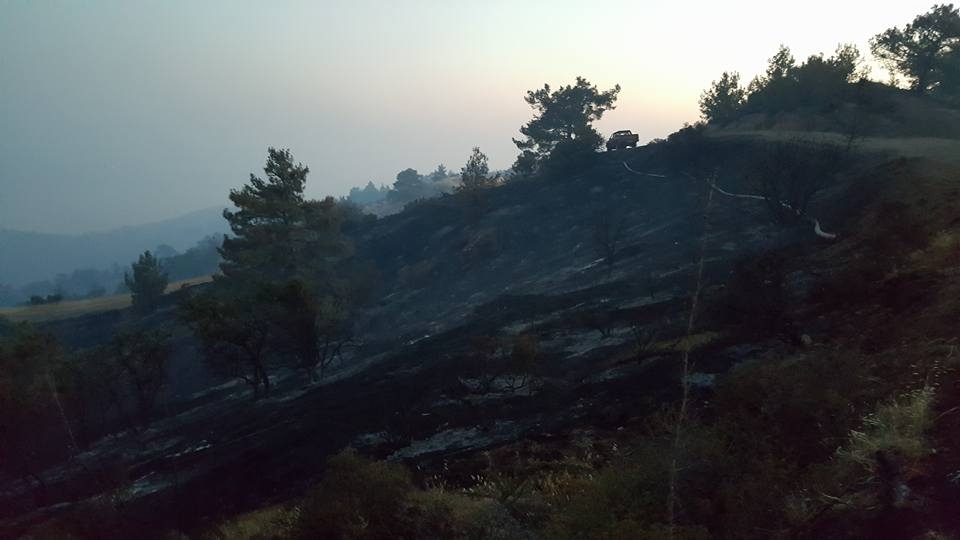Yangın 2 can aldı. İşte Trodos'taki büyük yangından fotoğraflar galerisi resim 4