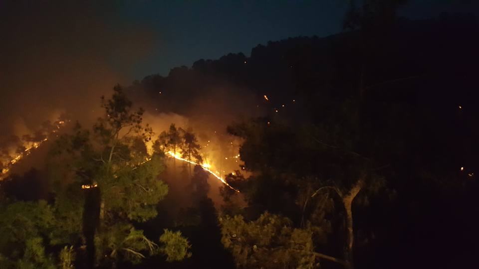 Yangın 2 can aldı. İşte Trodos'taki büyük yangından fotoğraflar galerisi resim 7