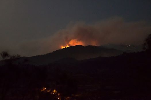 Yangın 2 can aldı. İşte Trodos'taki büyük yangından fotoğraflar galerisi resim 8