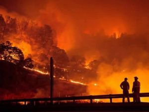Yangın 2 can aldı. İşte Trodos'taki büyük yangından fotoğraflar