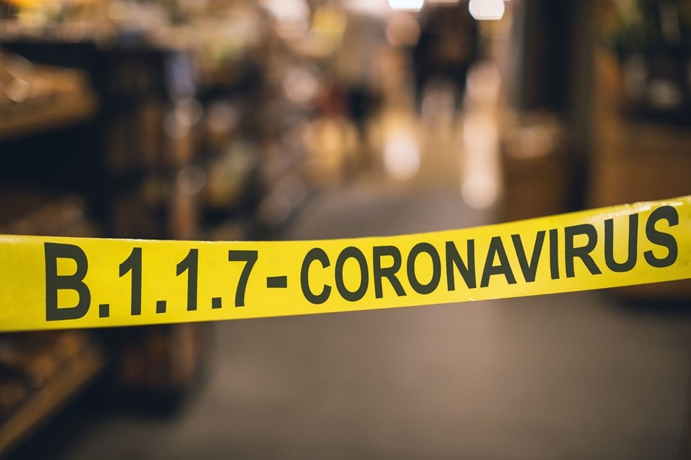 Corona virüs mutasyonları arasında hangi farklar var? galerisi resim 5
