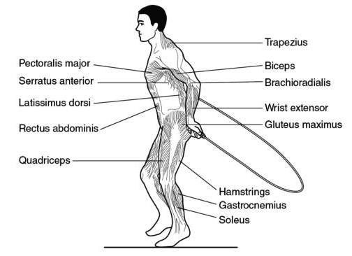 Karantina’da ekipmansız yapılabilecek spor hareketleri galerisi resim 4