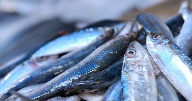 Karantina günlerinde sağlıklı beslenme nasıl olmalı? galerisi resim 11