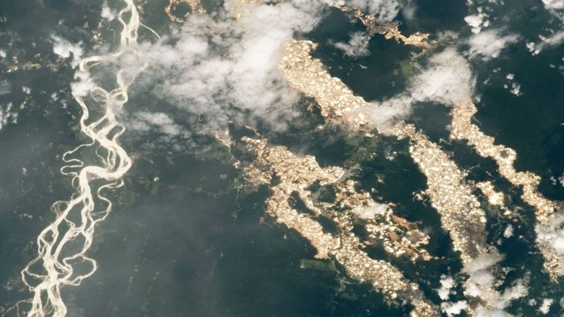 Amazon'un 'altın nehirleri' ortaya çıktı galerisi resim 2