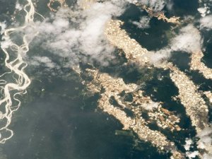 Amazon'un 'altın nehirleri' ortaya çıktı