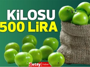 Mersin'de İlk erik hasadı: Kilosu 500 lira