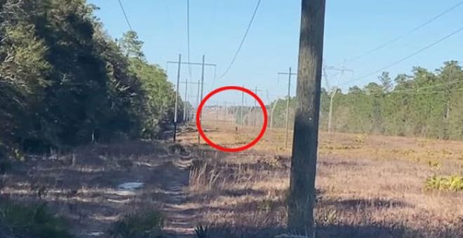 400 yıldır dillerde! Tarladaki gizemli varlık tartışmalara yol açtı galerisi resim 1