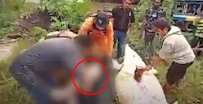 Dev timsah çocuğu yuttu! Cansız bedeni, hayvanın içinden çıkarıldı galerisi resim 1