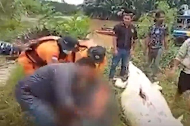 Dev timsah çocuğu yuttu! Cansız bedeni, hayvanın içinden çıkarıldı galerisi resim 6