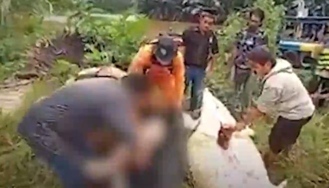 Dev timsah çocuğu yuttu! Cansız bedeni, hayvanın içinden çıkarıldı galerisi resim 7