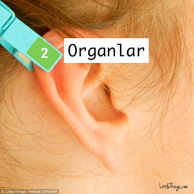 15 dakikada tüm ağrılarınızdan kurtaracak 'Antik' bir yöntem galerisi resim 3