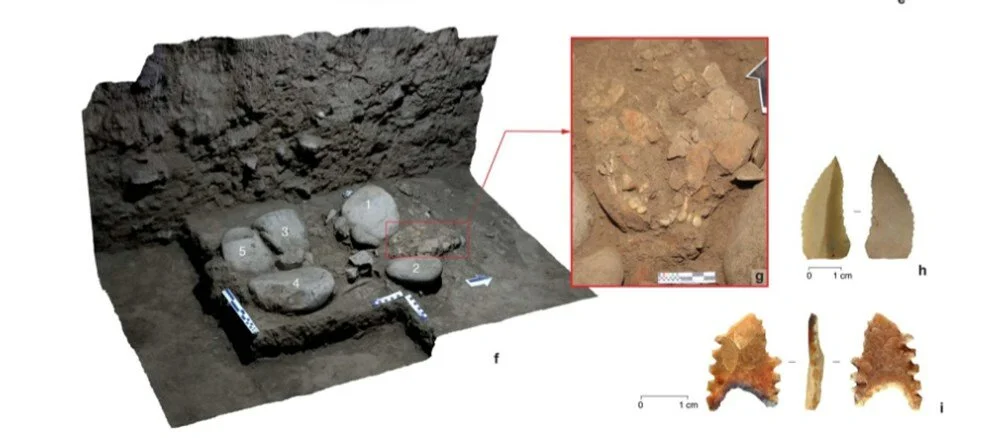 Endonezya'da 7 bin 200 yıl önce ölen kadının DNA örneği keşfedildi galerisi resim 1