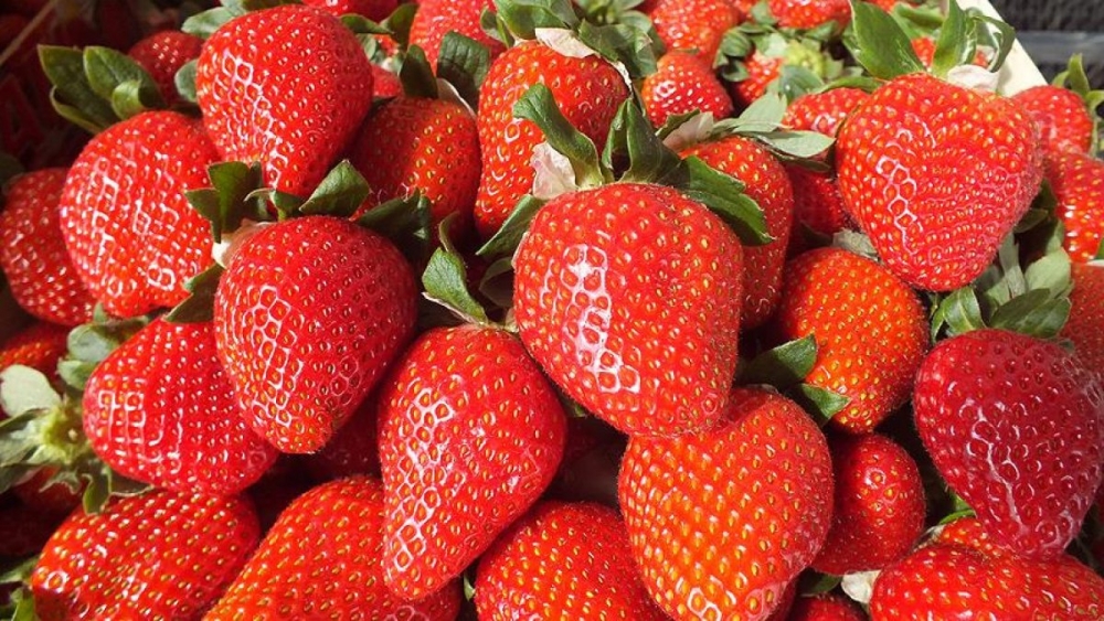 Şeker hastaları için en iyi 8 meyve galerisi resim 2