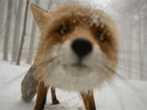 Bu fotoğraflar nasıl çekiliyor? İşte yanıtı...