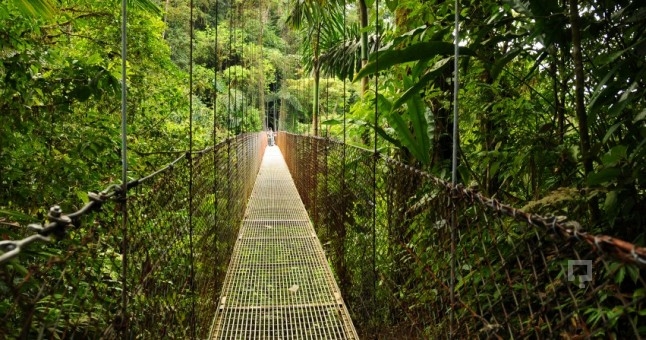 İşte esrarın yasal olduğu 19 ülke! galerisi resim 10