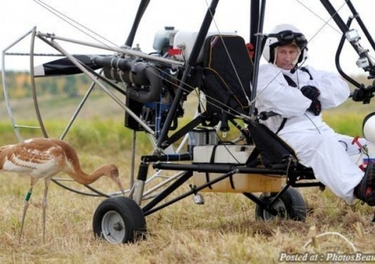 Politikanın ciddiyetini kaybettiği komik anlar galerisi resim 12