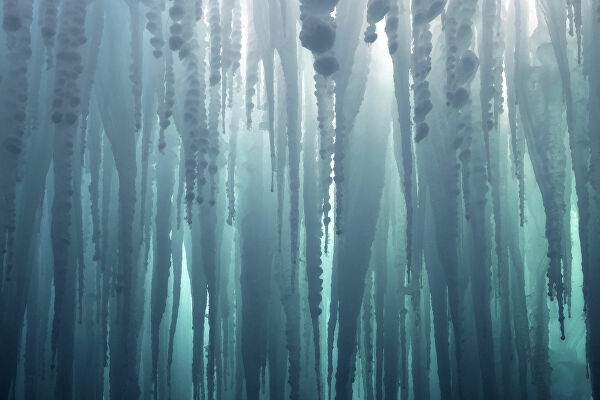 Yılın en iyi doğal manzara fotoğrafları belli oldu galerisi resim 2