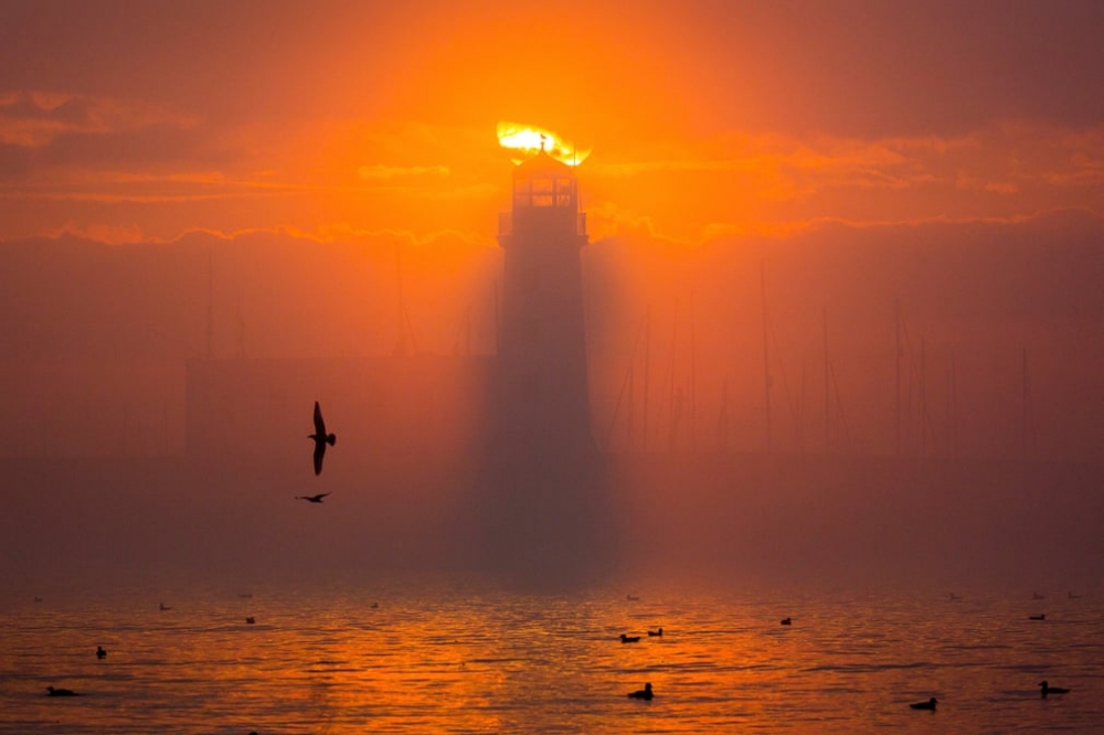 2021 Yılının ‘En İyi Tarihi Fotoğraf Ödülleri’ Sahiplerini Buldu galerisi resim 7