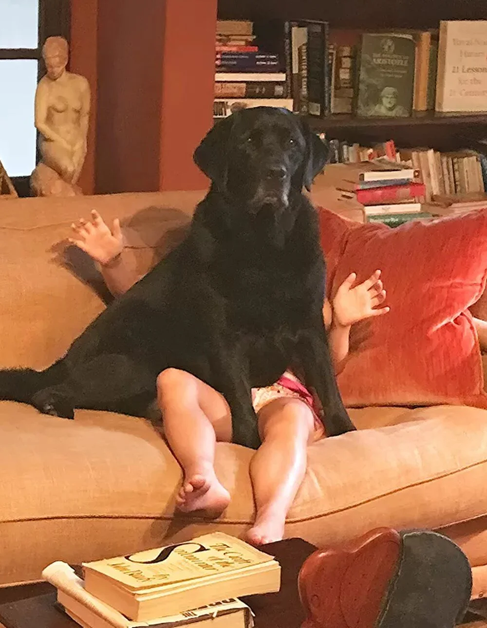 Komik Evcil Hayvan Fotoğraf Ödülleri yarışması sonuçlandı galerisi resim 7